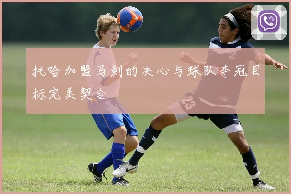 托哈加盟马刺的决心与球队夺冠目标完美契合